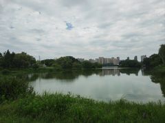 -洋湖国家湿地公园