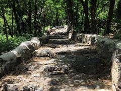 -阳台山自然风景区