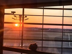 -达拉斯 沃斯堡国际机场