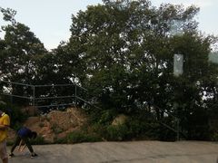 -紫金山天文台