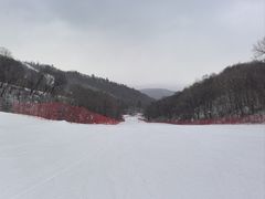 -亚布力新体委滑雪场