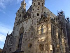 -斯蒂芬主教座堂(Stephansdom)