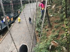 -梦幻奥陶纪景区