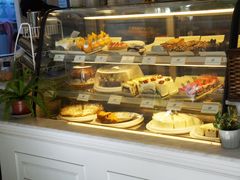 -Fern Forest Cafe