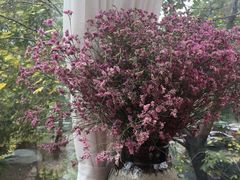 -春暖花开(西溪店)