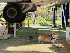 -航空小镇温泉