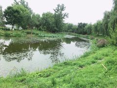 -东郊湿地公园