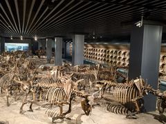-大庆市博物馆