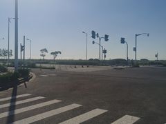 -南汇新城海滩