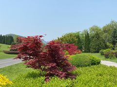 -棒棰岛宾馆景区