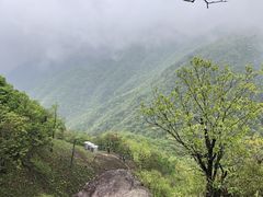 -东天目山风景区