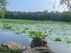 -长春市南湖公园