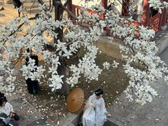 -堤角公园