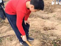-前小桔亲子创意农场·草莓采摘·露营烧烤