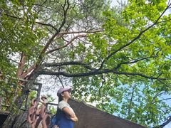 -五女峰国家森林公园