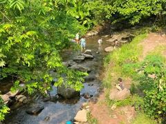 -重庆彩云湖湿地公园