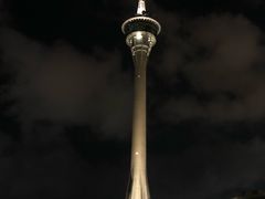 -澳门环岛游湾仔码头