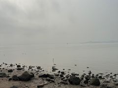 -深圳湾公园(南山区)