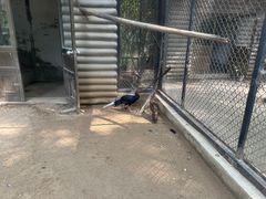 -石家庄市动物园