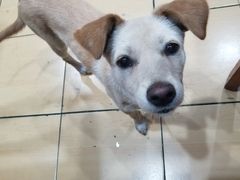 -故乡明太鱼屋(航北路店)