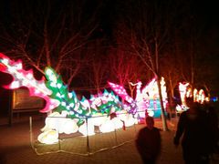 -济南国际园博园