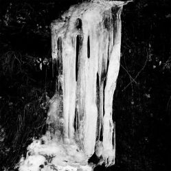 -罗斯福公馆·宴会厅