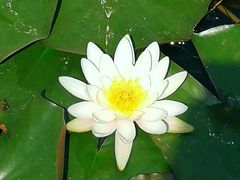 -中关村生命科学园