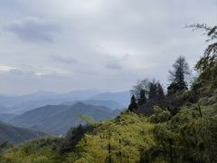 -莫干山风景区