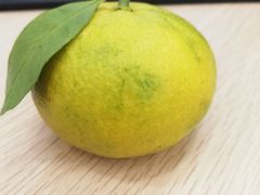 -百果园PAGODA(应元路店)