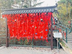-信号山公园