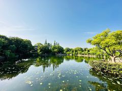 -无锡蠡湖国家湿地公园-蠡园