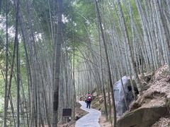 -黄山翡翠谷景区
