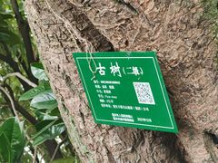 -丰都鬼城名山景区