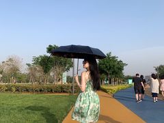 -郑东新区龙湖公共艺术中心
