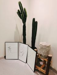 -康颜SPA自然疗愈皮肤管理中心