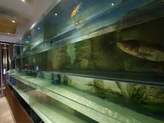 -食理八湘(中海城风情苑北区店)