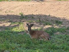-不觉晓CAMPING(上海迪士尼营地店)