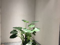 -常乐·对症推拿(解放碑英利大融城店)