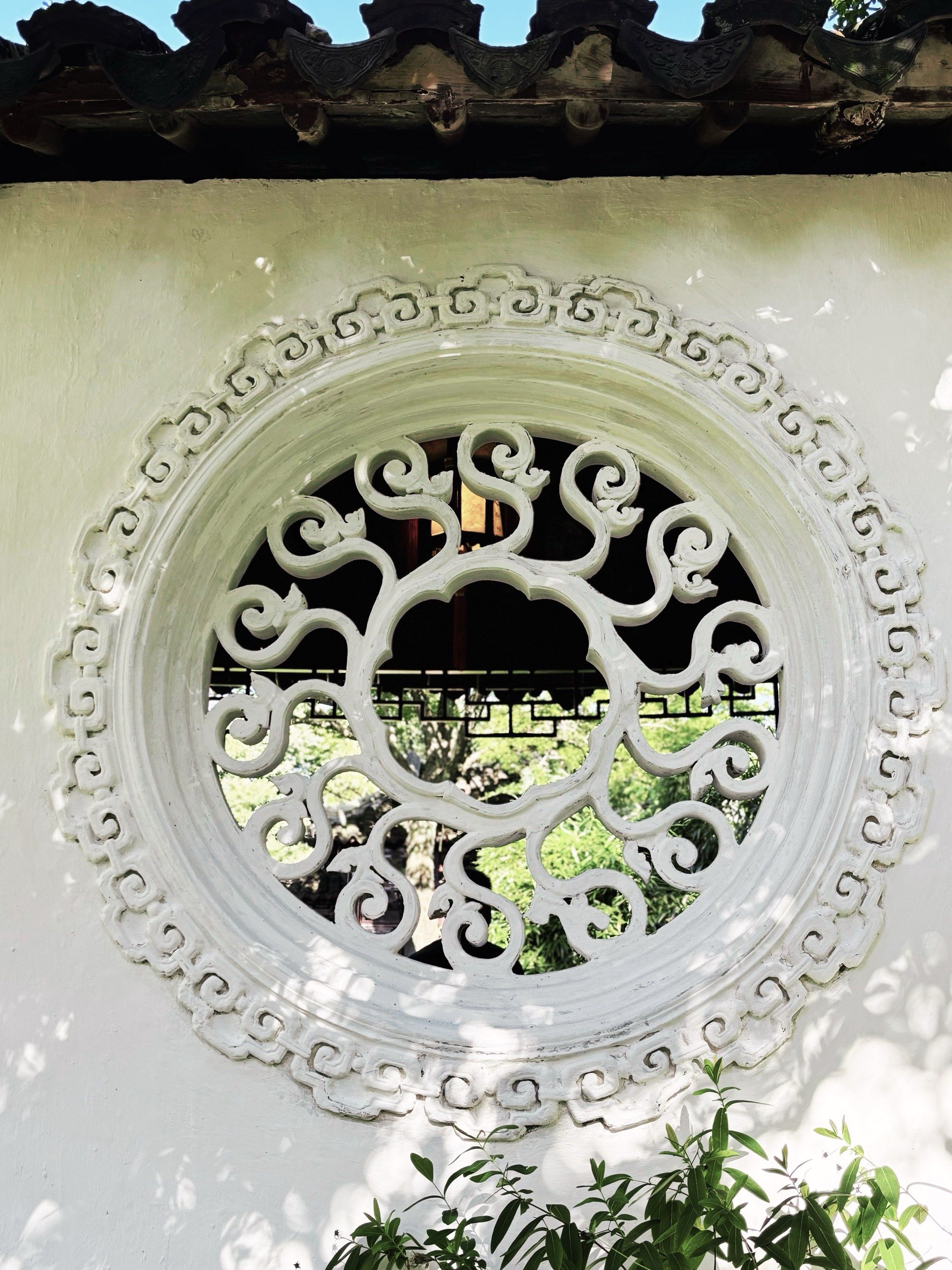 为了这扇花窗,我特意跑了一趟苏州