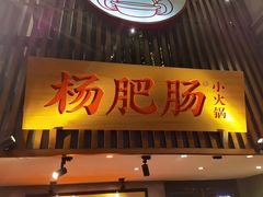-杨肥肠小火锅(花园店)