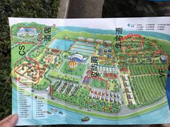 -洈水景区