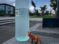 -东钱湖旅游度假区