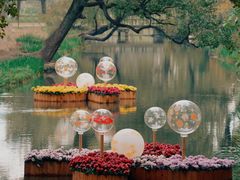 -上海共青森林公园