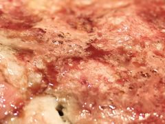 -齐函杨佳清真烤肉(鑫海店)