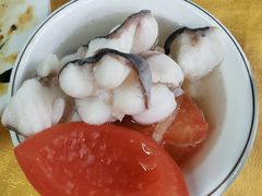 鸭嘴鱼-荔景渔庄