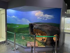 -呼伦贝尔民族博物馆