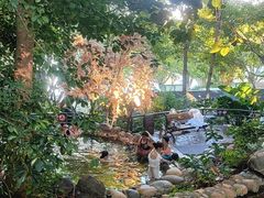 -湖泉半山温泉