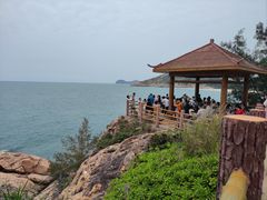 -广东惠东海龟国家级自然保护区