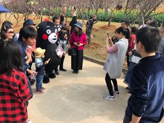 -天适樱花悠乐园