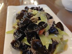 -龙翔山庄雷鸡肉(青城后山泰安古镇店)
